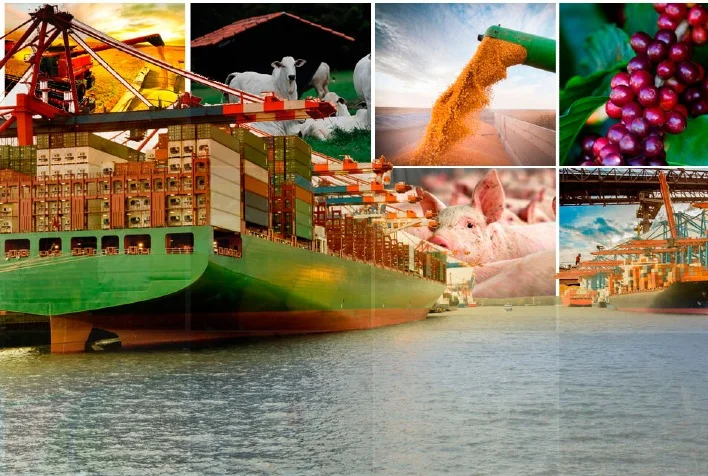 Quais foram as exportações do agronegócio para o mês de agosto e qual foi o valor recorde alcançado? 1 agronegócio