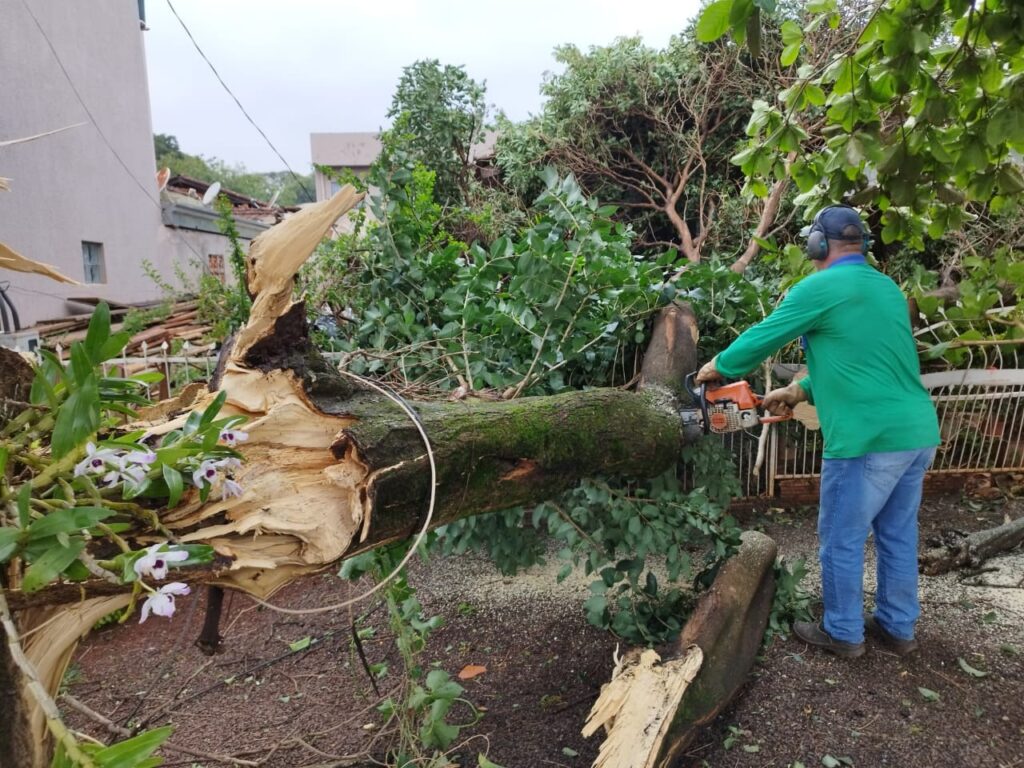 Quais foram os efeitos dos temporais no Paraná, incluindo a destruição e o apagão nas propriedades rurais? 20 quais foram os efeitos dos temporais no parana incluindo a destruicao e o apagao nas propriedades rurais