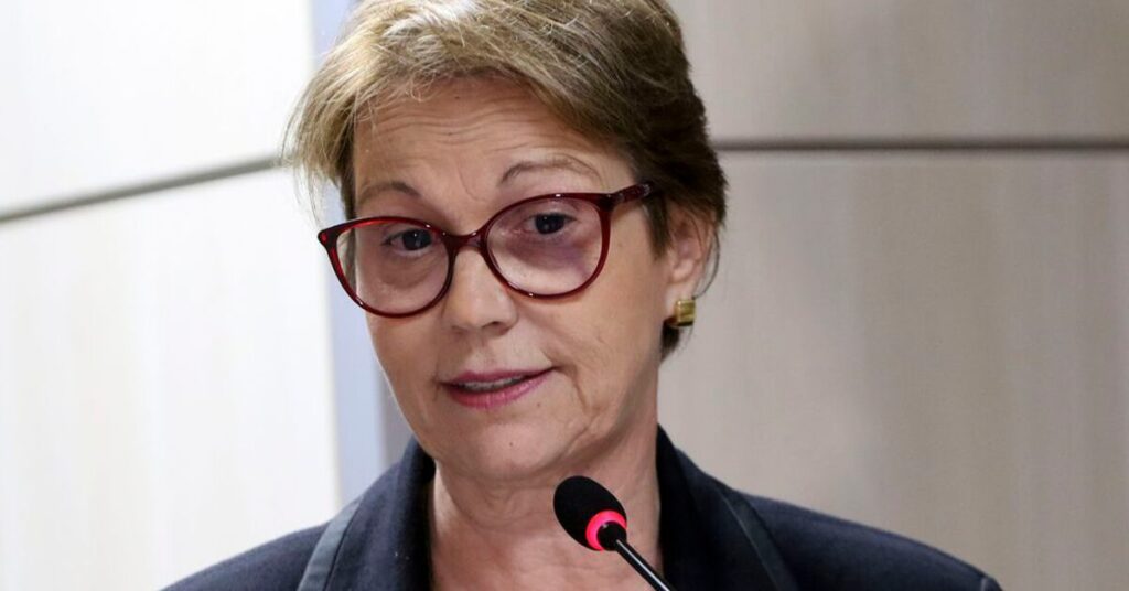 quais sao as acusacoes da ex ministra sobre o governo em relacao ao acordo mercosul ue de acordo com o portal dbo