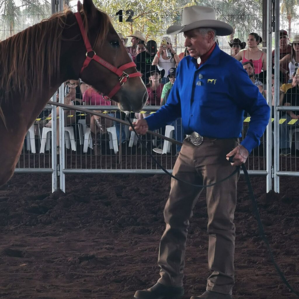 quais sao as caracteristicas especificas dos cavalos exploradas no curso ministrado por decio talon 2