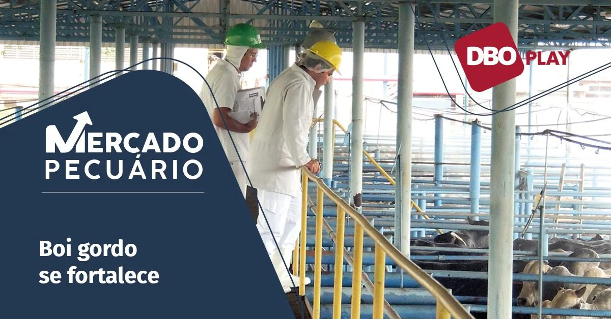 Quais são as escalas médias de abate dos frigoríficos, consideradas as mais curtas do ano, de acordo com o Portal DBO? 4 quais sao as escalas medias de abate dos frigorificos consideradas as mais curtas do ano de acordo com o portal dbo