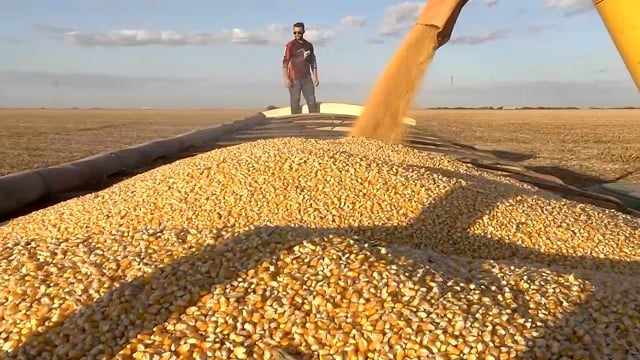 quais sao as implicacoes das negociacoes aquecidas por portos com alta demanda para exportacao e o fortalecimento do dolar