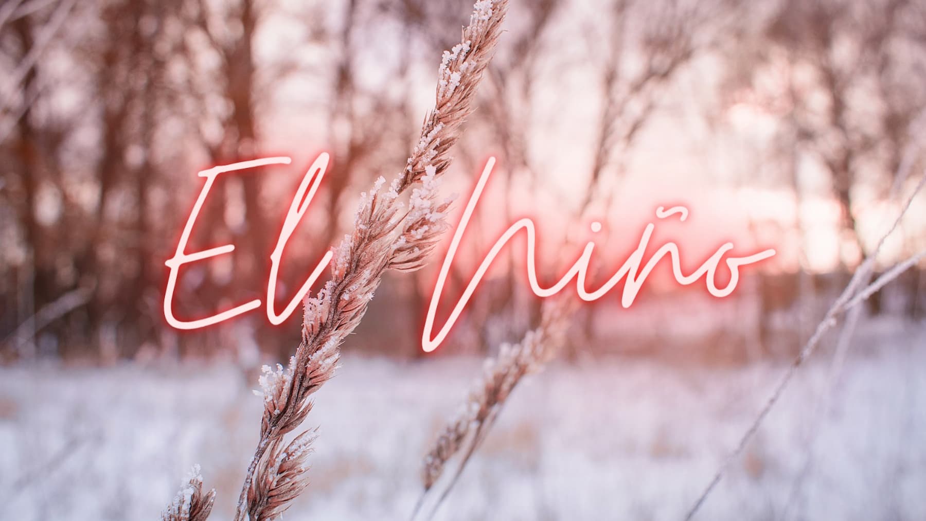 Quais são as orientações trazidas pelo Informe Pré-Safra Goiás para lidar com o El Niño?