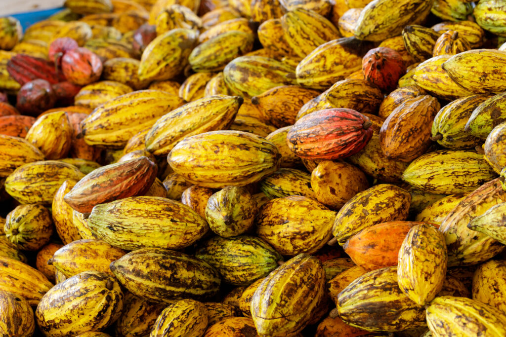 quais sao as razoes que levaram a recuperacao do cacau de londres devido as preocupacoes com a oferta restrita