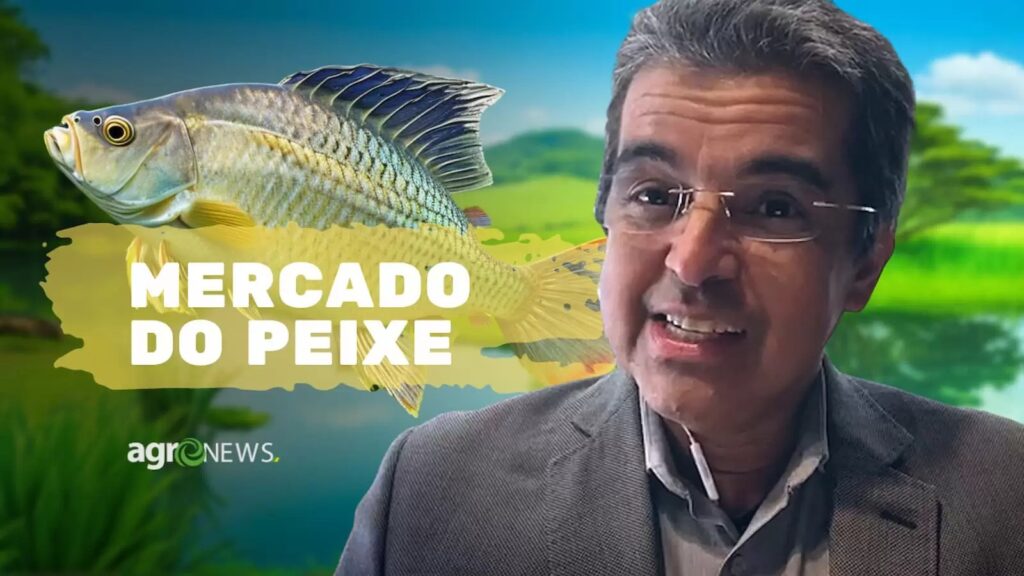 quais sao as tendencias atuais no mercado de peixes de cultivo no brasil