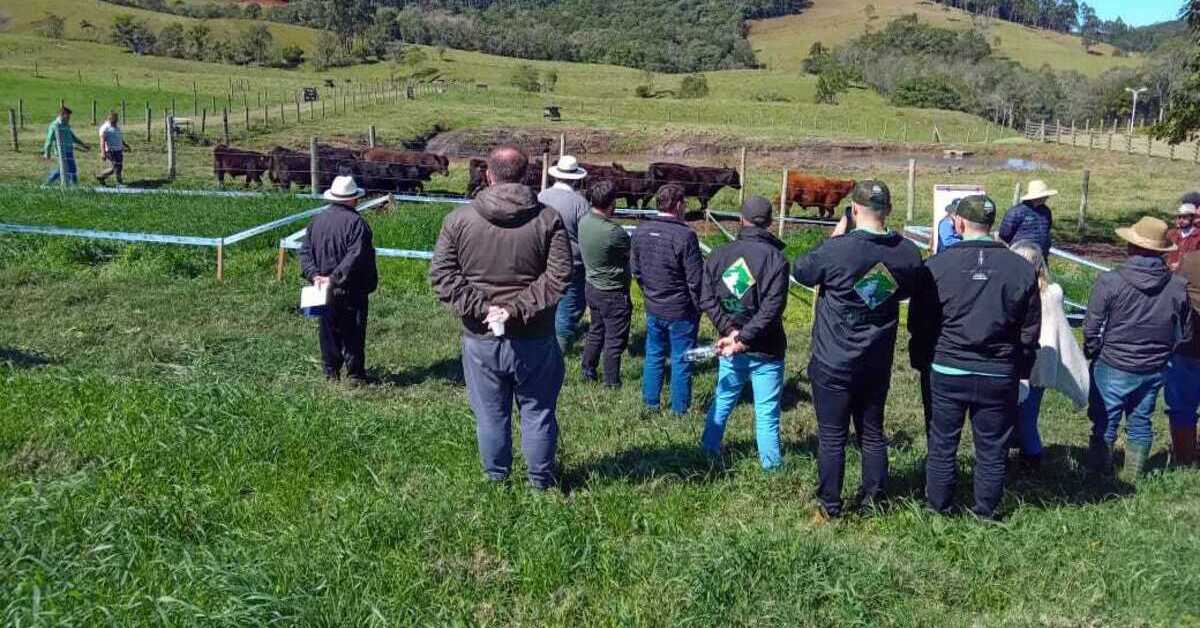 Quais são os avanços apresentados na pecuária de corte no Sul de SC durante a oficina técnica?