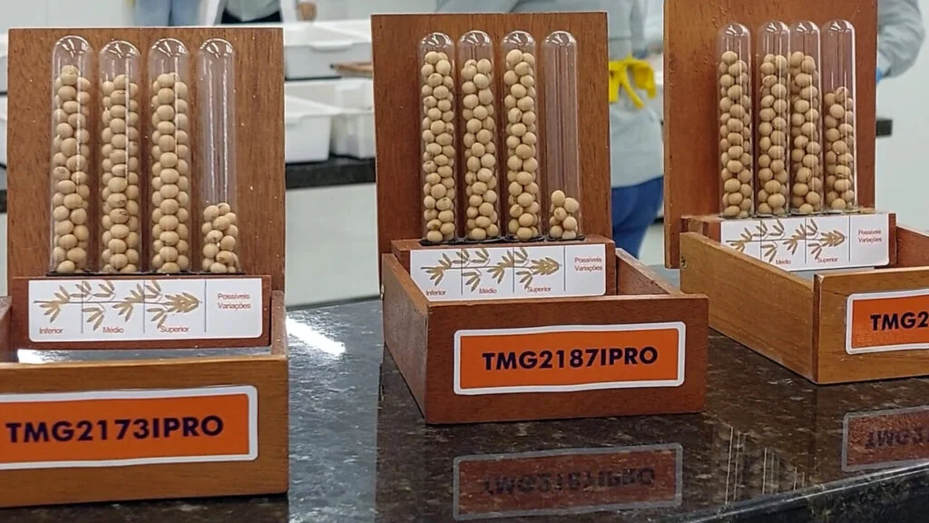 Quais são os cuidados necessários do começo ao fim na produção de sementes para garantir ótimos resultados no campo? 5 quais sao os cuidados necessarios do comeco ao fim na producao de sementes para garantir otimos resultados no campo