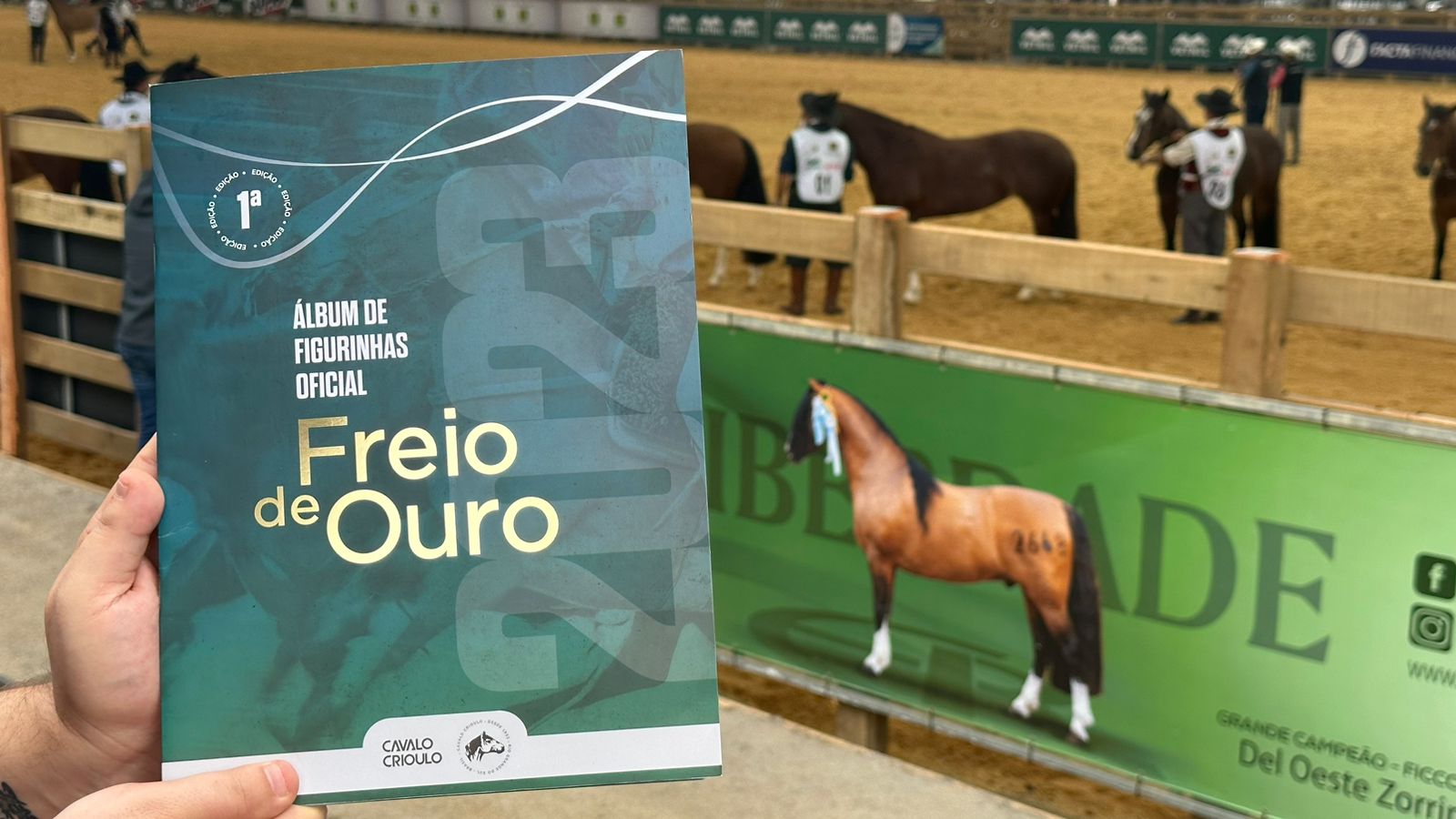 Quais são os motivos que encantam os colecionadores nas figurinhas de cavalos crioulos?