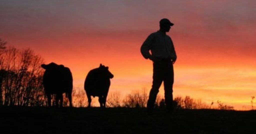 quais sao os pedidos oficializados pela abcz para desonerar produtores em cuiaba mt