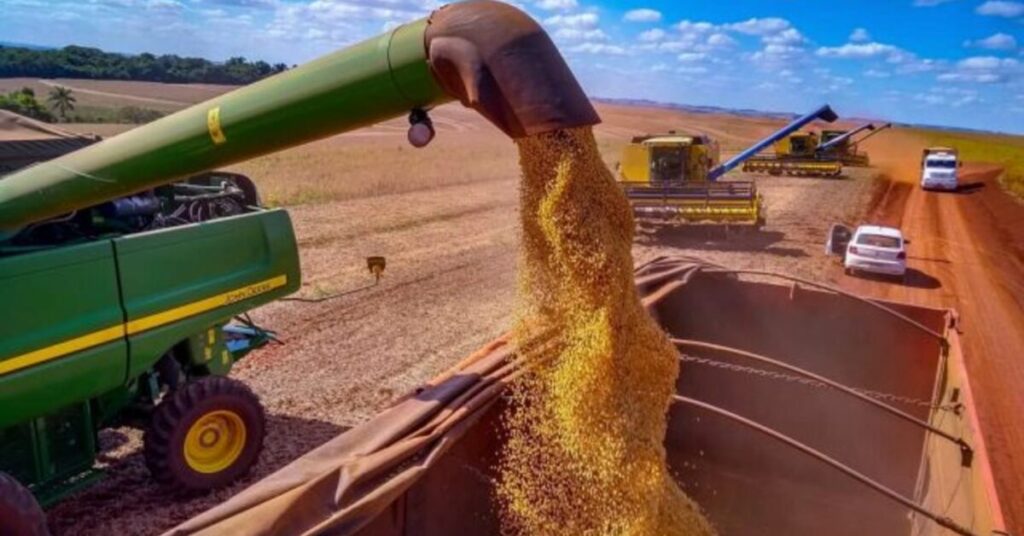 qual e a estimativa da conab para a producao de graos na safra 2022 23 de acordo com o portal dbo