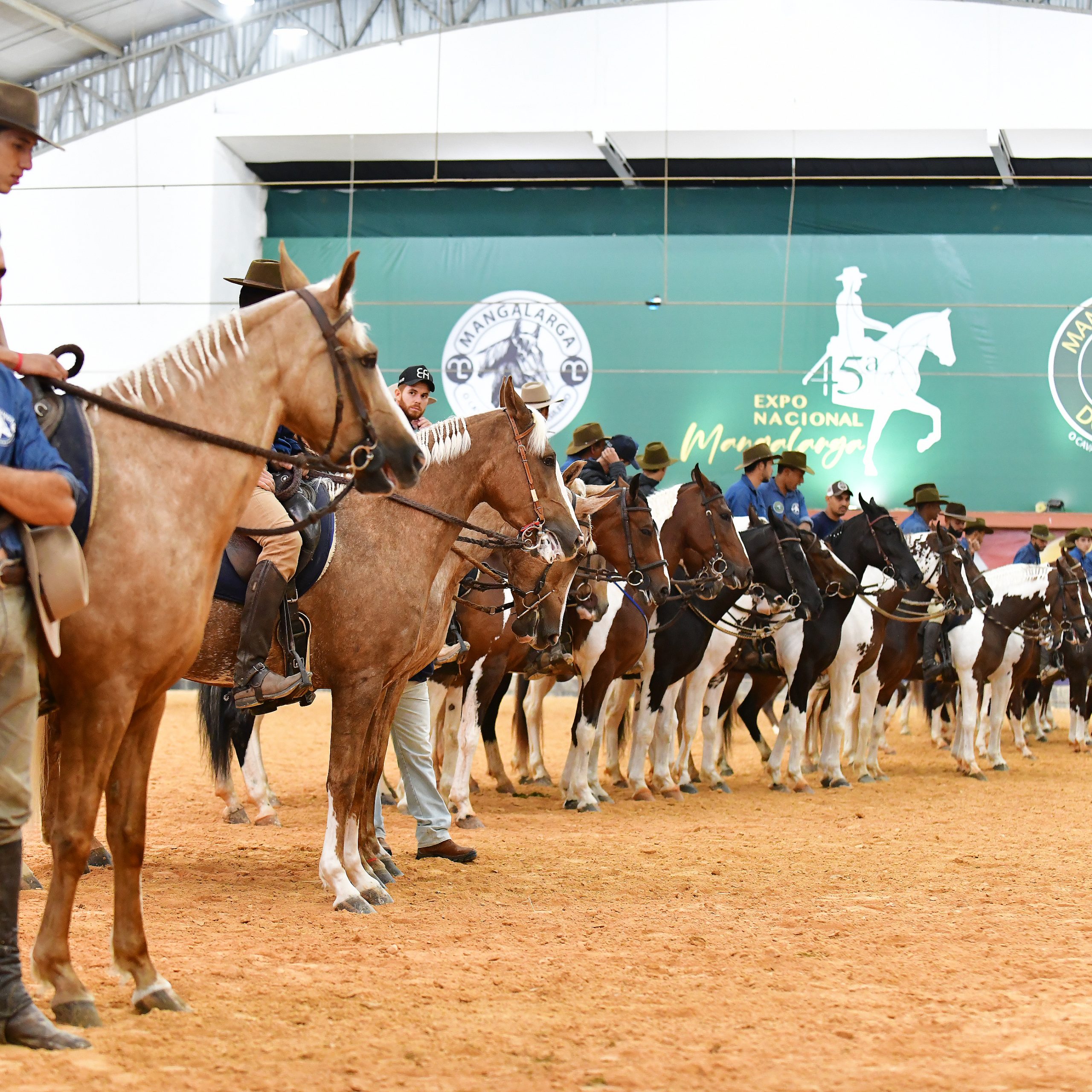 Qual é a evolução zootécnica do Cavalo Mangalarga apresentada durante a 45ª Exposição Nacional no Centro Hípico de Tatuí?