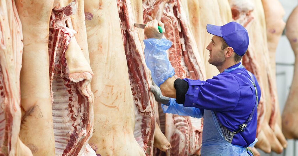 qual e a informacao fornecida pelo cepea no portal dbo sobre a queda na demanda por suino vivo e a carne resultando em pressao nas cotacoes