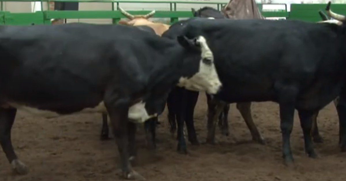 qual e a media geral de r 1 947 em sao sepe de acordo com o portal dbo