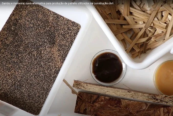qual e a nova alternativa para producao de paineis utilizados na construcao civil que envolve o uso de bambu e mamona