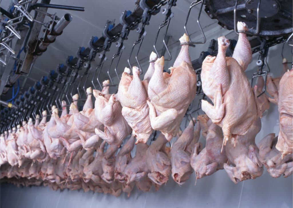 qual e a previsao de aumento do preco da carne de frango para o ano de 2023