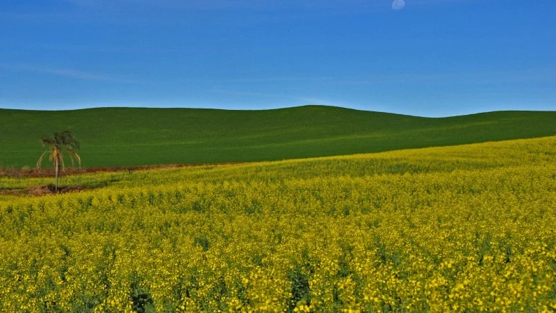 qual e a previsao do tempo para o rs 1