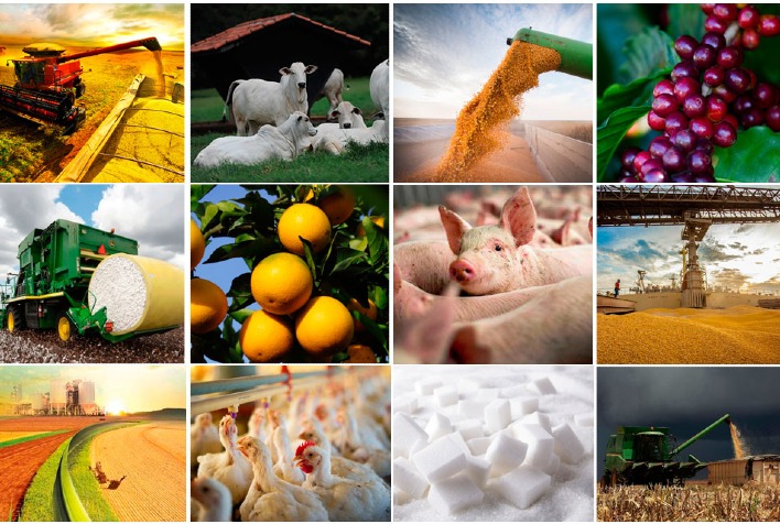 qual e a revisao do ipea para o valor adicionado do setor agropecuario em 2023