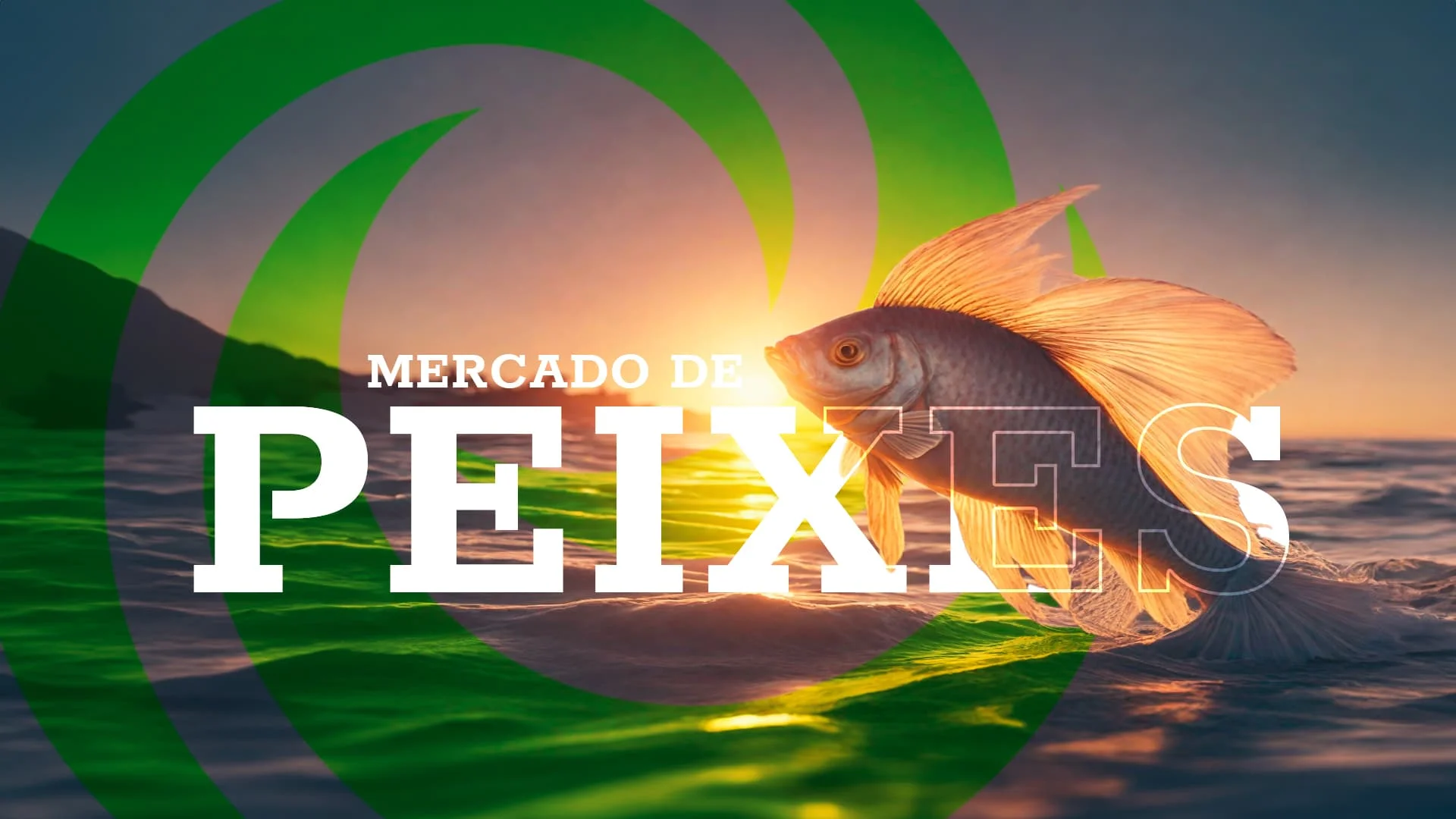 Qual é a situação do mercado de peixes nesta semana, dia 30 de setembro de 2023? 8 Mercado de Peixes