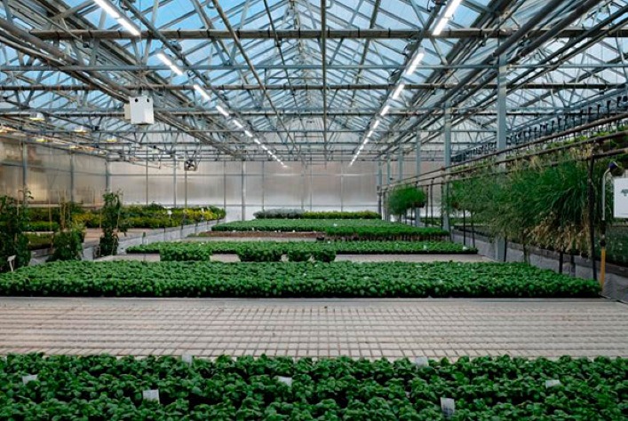 Qual é a temática do I Workshop Sobre Iluminação Artificial no Brasil, intitulado AGRO-LED?