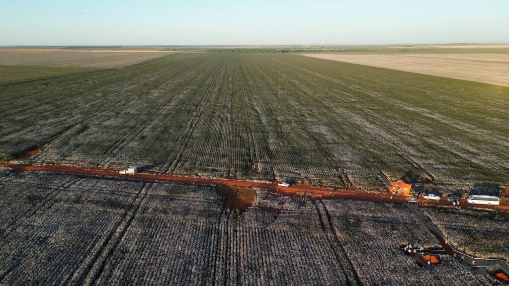 qual e o conceito que testa novos produtos em lavouras de produtor para produtor