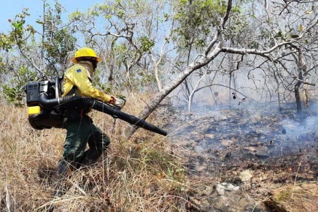 Qual é o efeito do período de seca no aumento do risco de incêndios em pastagens? 13 fogo, queimado