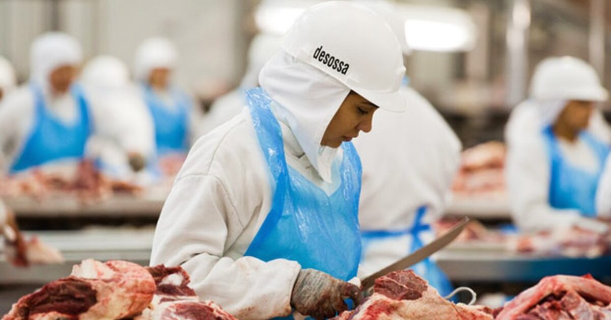 qual e o estado que produziu o maior volume de carne bovina no primeiro semestre de acordo com o portal dbo 1