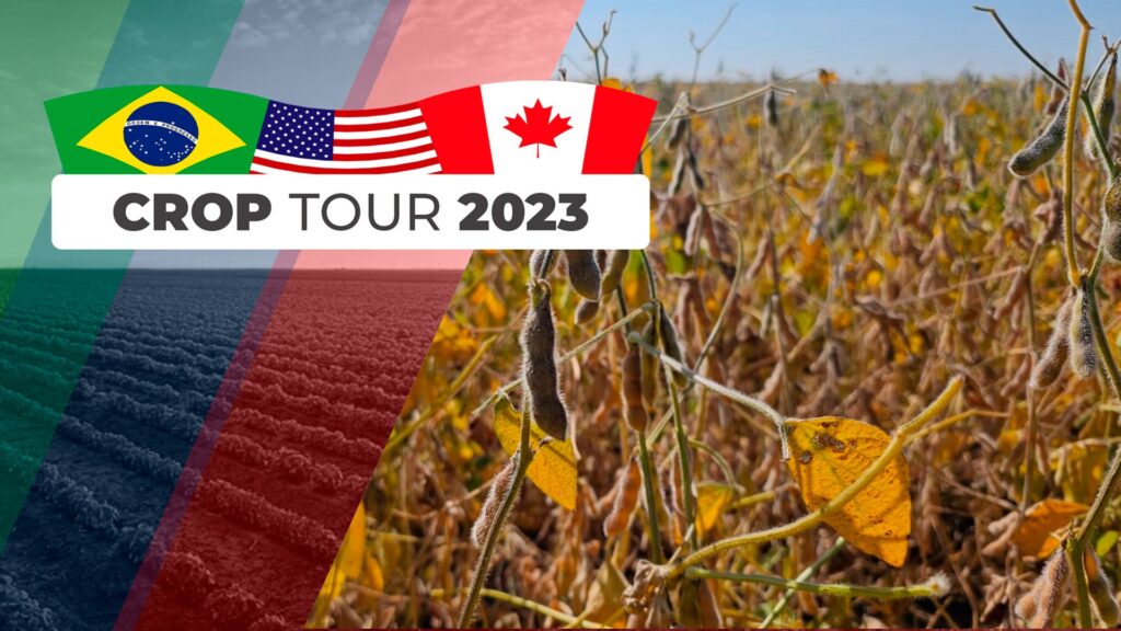 qual e o impacto da produtividade da soja em nebraska e partes do oeste de iowa