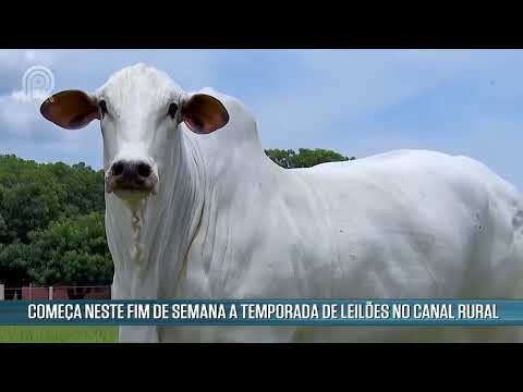 Reprodutor de vídeo do YouTube