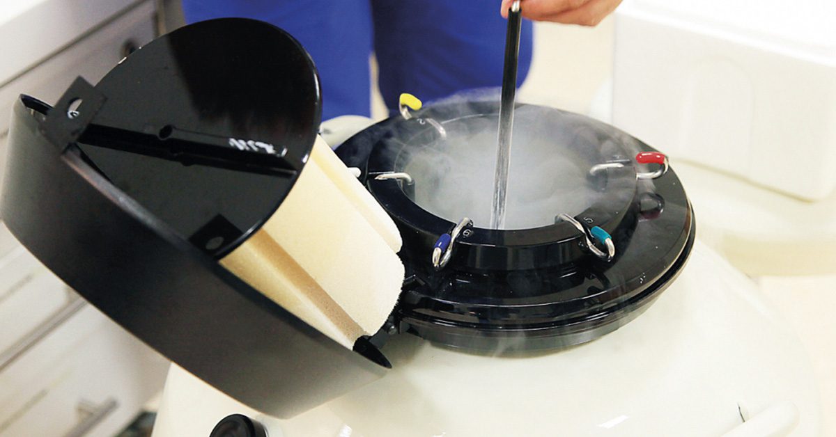 Mercado Genética Bovina: Ascensão Poderosa