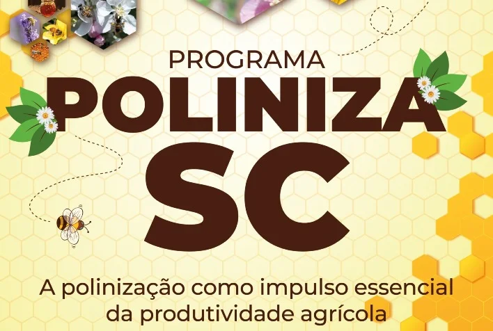 Qual é o programa que será lançado na quinta-feira durante a abertura da Festa da Maçã em Santa Catarina? 24 qual e o programa que sera lancado na quinta feira durante a abertura da festa da maca em santa catarina