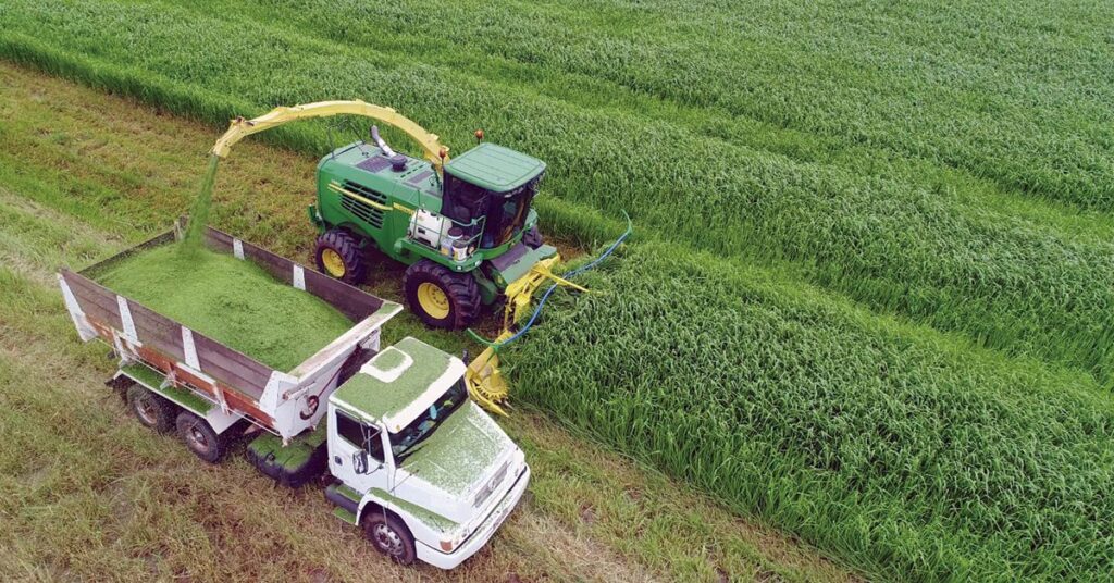 qual e o recorde atual do numero de pessoas atuando no agro de acordo com o cepea e a cna no portal dbo