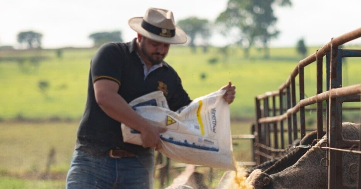 Qual é o resultado do 1º semestre/23 divulgado pela Sindirações na indústria de alimentação animal através do Portal DBO?