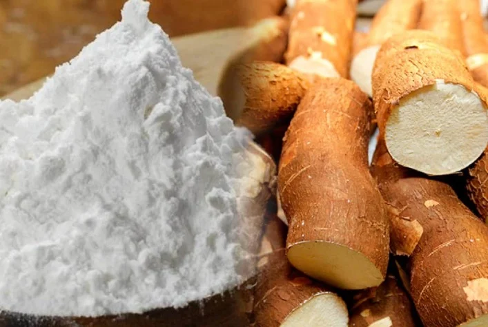 Qual é o ritmo de crescimento das produções de mandioca e fécula em relação à demanda? 8 qual e o ritmo de crescimento das producoes de mandioca e fecula em relacao a demanda