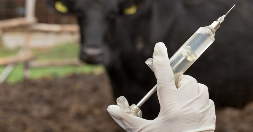 qual foi a conquista do parana em relacao ao sisbi pec e qual foi o reconhecimento obtido