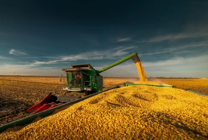 Qual foi a porcentagem das vendas externas de milho e soja em MT? 10 qual foi a porcentagem das vendas externas de milho e soja em mt
