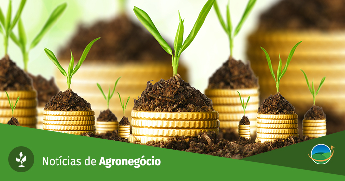 Qual foi a queda do Ibovespa em percentual no dia de exterior negativo?