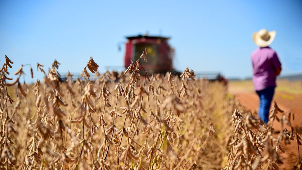 qual foi a semana marcada por reviravoltas 1