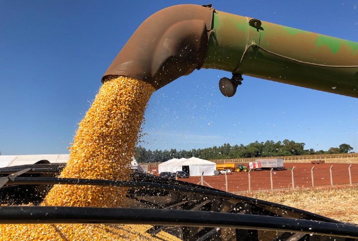 Qual foi a taxa de abertura do milho em Chicago na terça-feira, considerando o início da colheita nos EUA?