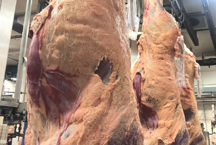 Qual foi o aumento da produção de carnes inspecionadas no primeiro semestre de 2023 em relação ao recorde anterior?