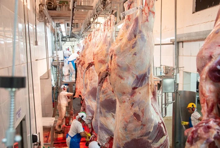 Qual foi o aumento percentual no abate de bovinos durante o segundo trimestre em Goiás? 3 qual foi o aumento percentual no abate de bovinos durante o segundo trimestre em goias