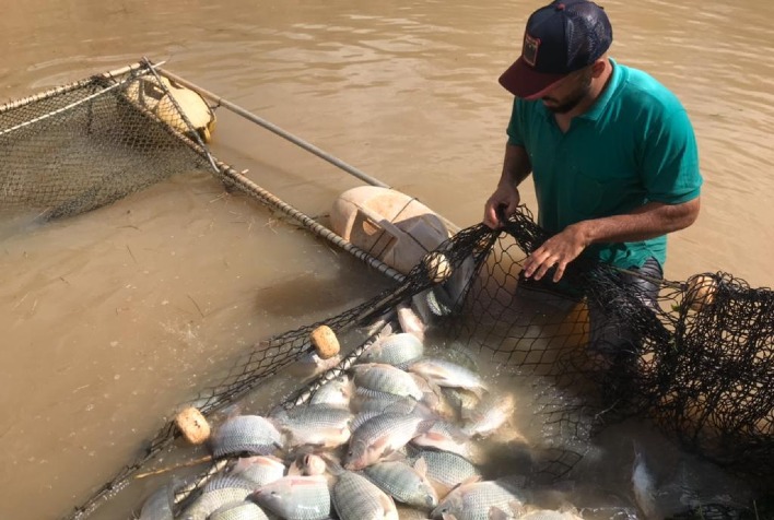 Qual foi o crescimento percentual na produção do piscicultor assistido pela Emater-MG?