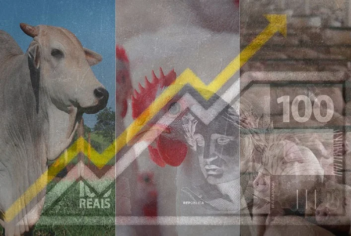 qual foi o desempenho do frango boi e suino vivos em setembro e nos nove primeiros meses de 2023