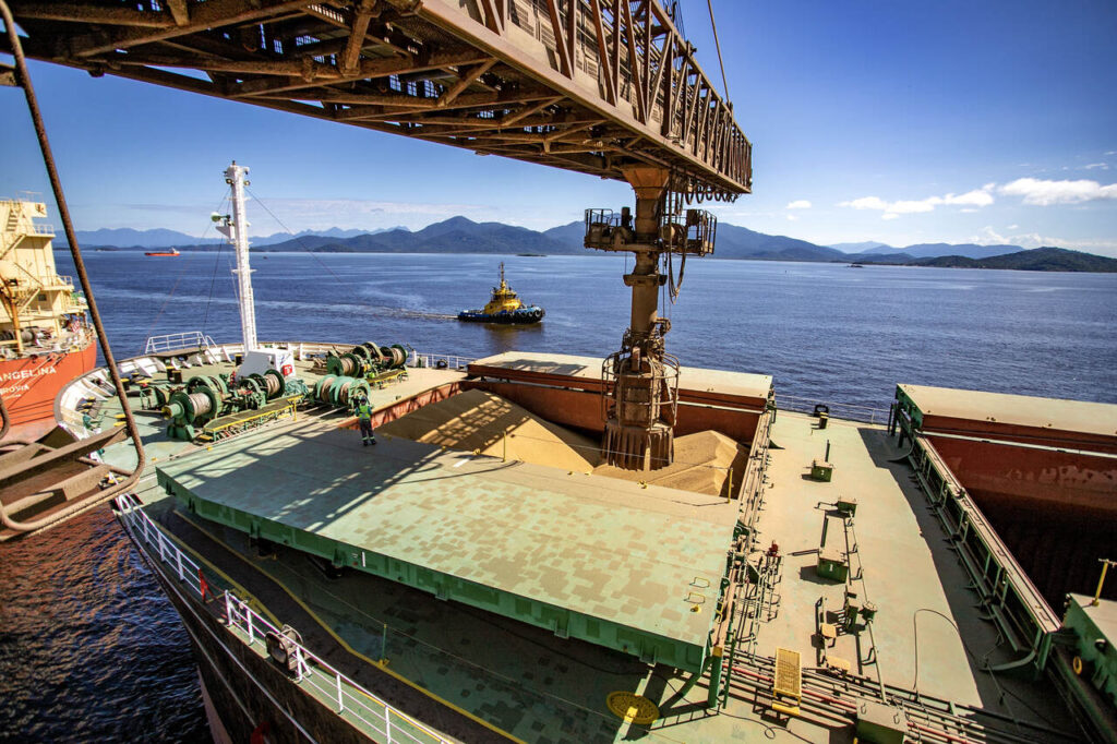 qual foi o percentual de aumento na exportacao de soja em cascavel