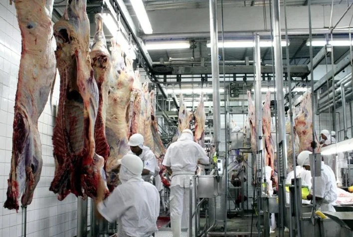 qual foi o percentual de crescimento do abate de gado em mato grosso