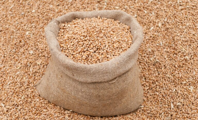 qual foi o valor das exportacoes em agosto e elas bateram recorde para este mes