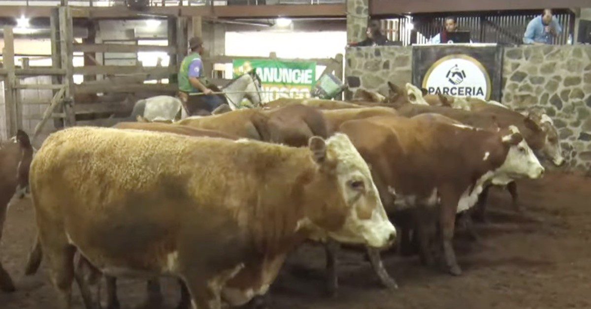 Qual foi o valor movimentado no Remate de Gado Geral em Lavras do Sul, segundo o Portal DBO?