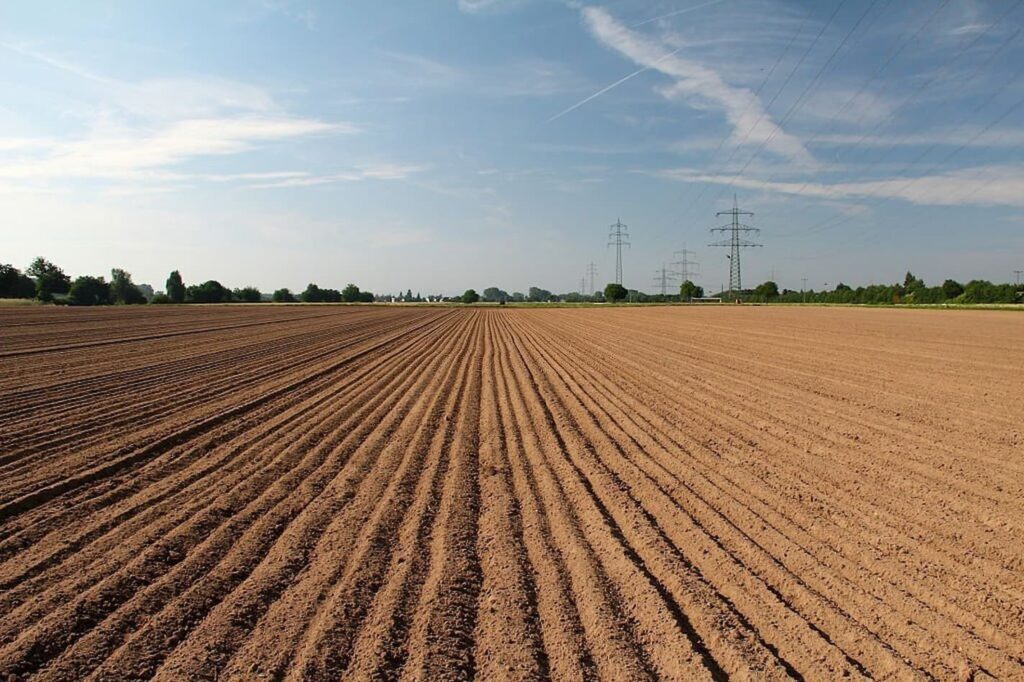 quando o plantio da soja iniciara em goias 1