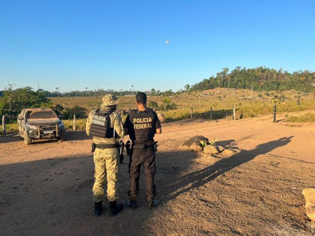 Quantas cabeças de gado foram apreendidas pela Polícia Federal?