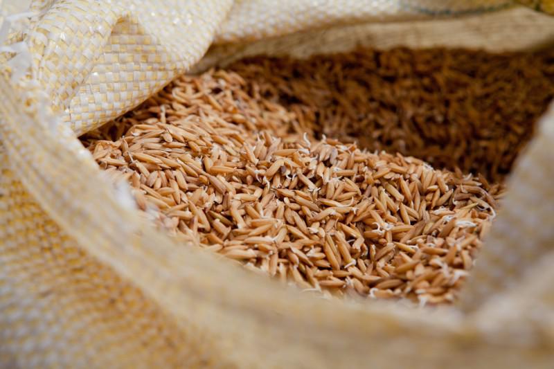 quantas toneladas de arroz irga vai doar as vitimas do ciclone