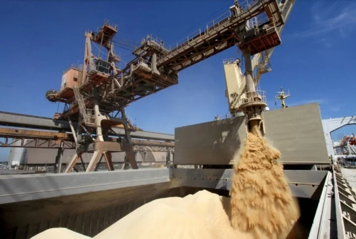 Quantas toneladas de soja a União Europeia deve importar em 2023/24, de acordo com o USDA? 5 quantas toneladas de soja a uniao europeia deve importar em 2023 24 de acordo com o usda